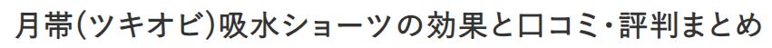 月帯(ツキオビ)吸水ショーツの効果と口コミ・評判まとめ